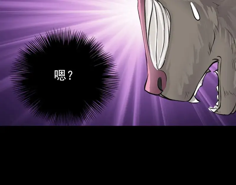 第219页