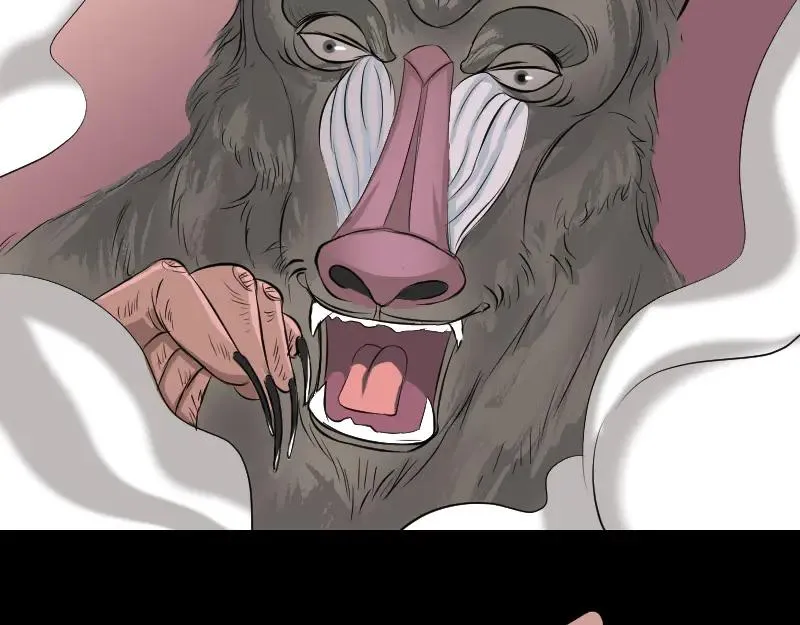 第258页
