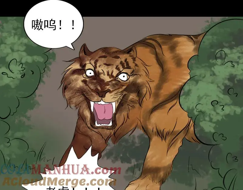 第204页