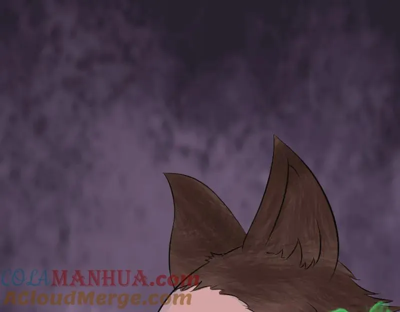 第276页