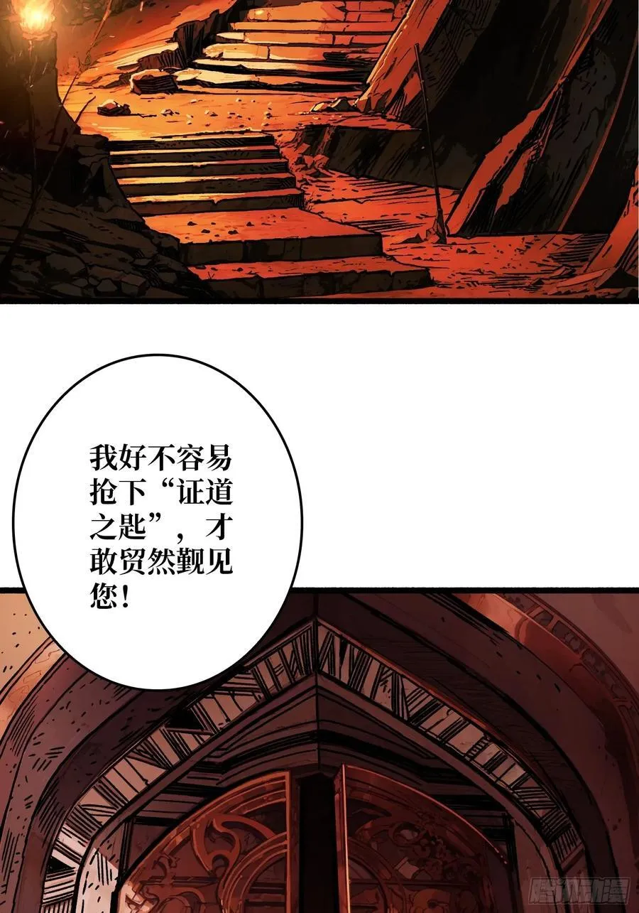 第204页