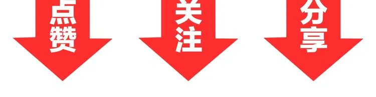第393页
