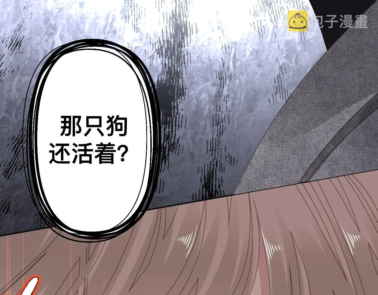 第213页