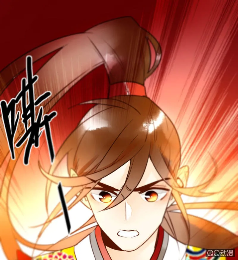 第204页