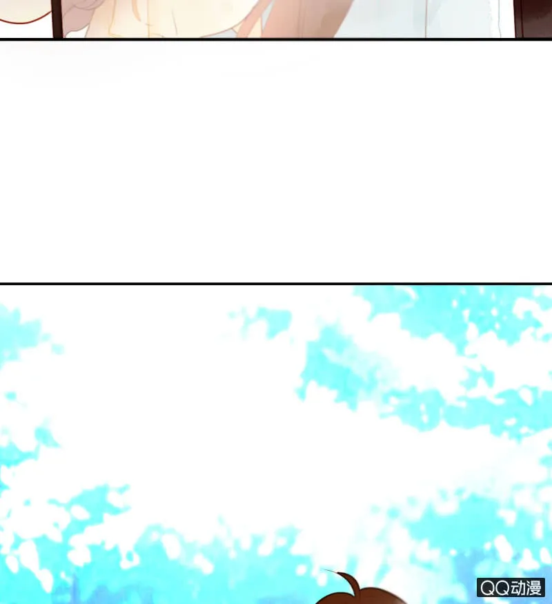 第255页