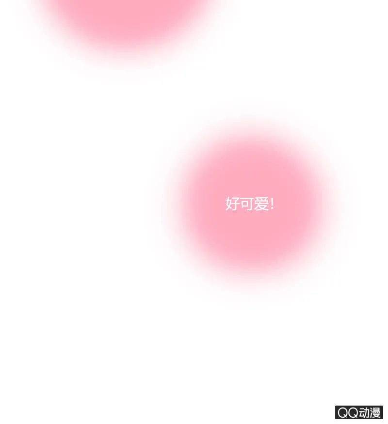 第207页
