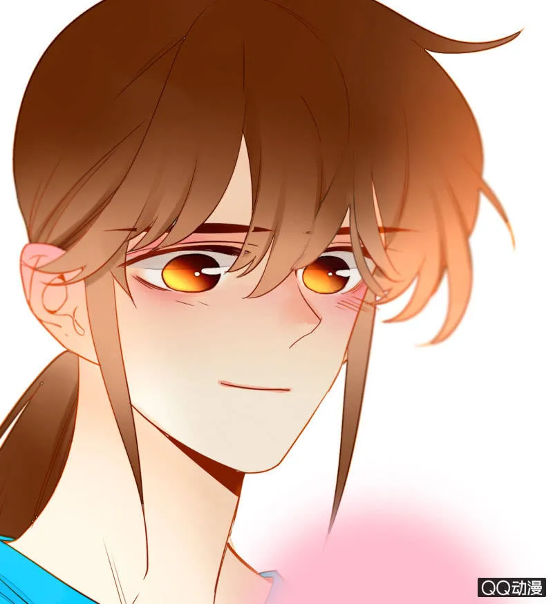 第219页