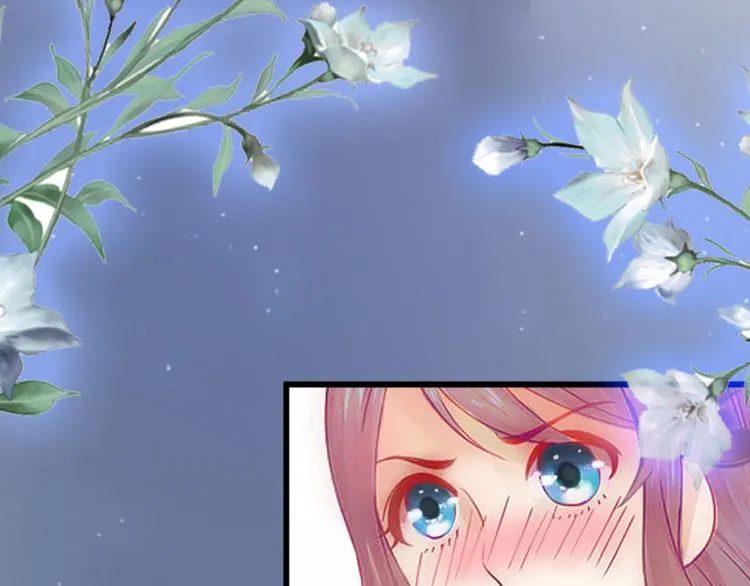 第255页