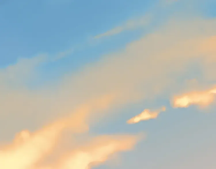 第546页