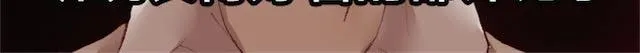 第282页