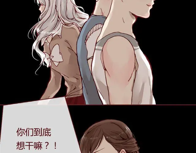 第255页