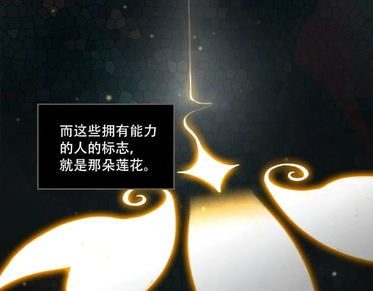 第243页
