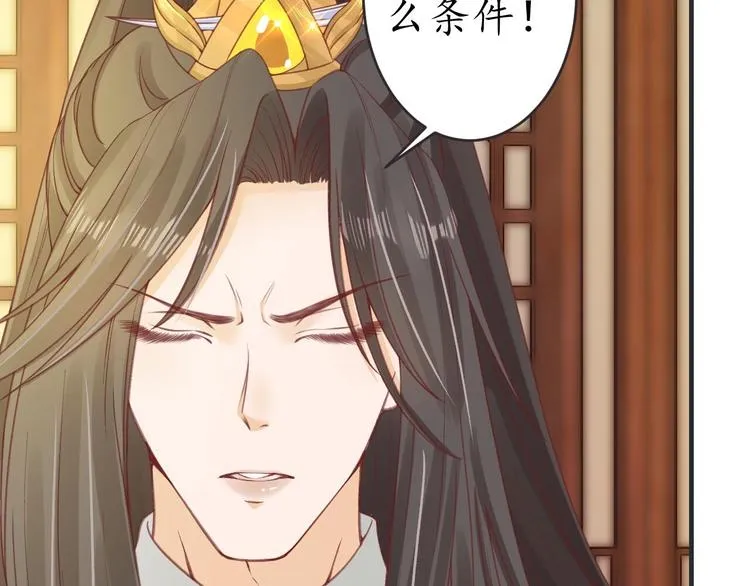 第243页