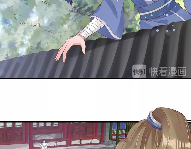 第216页