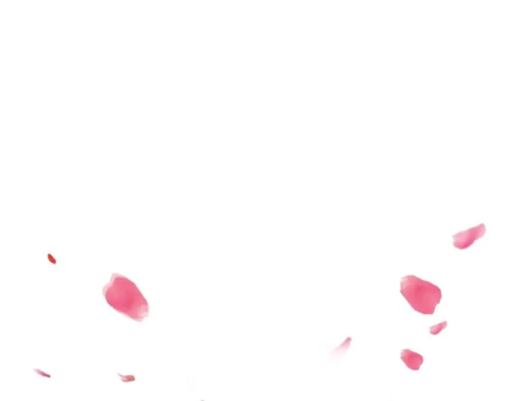 第216页