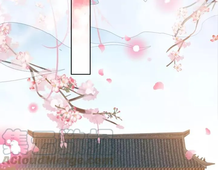 第255页