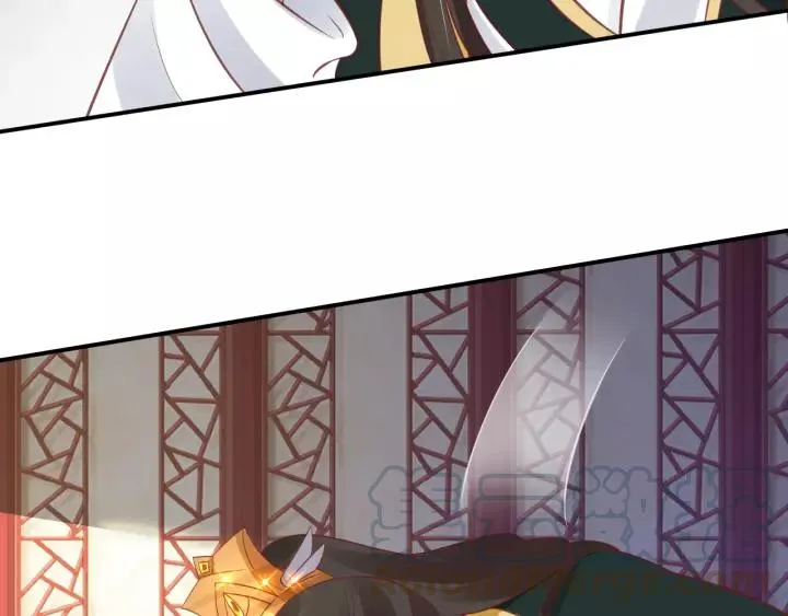 第255页
