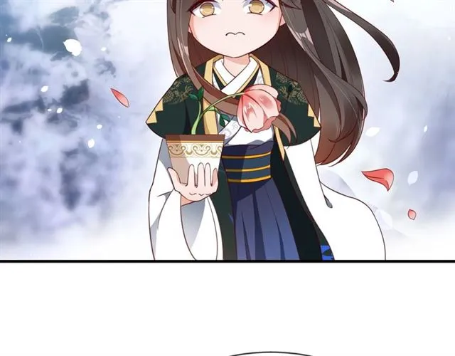 第258页