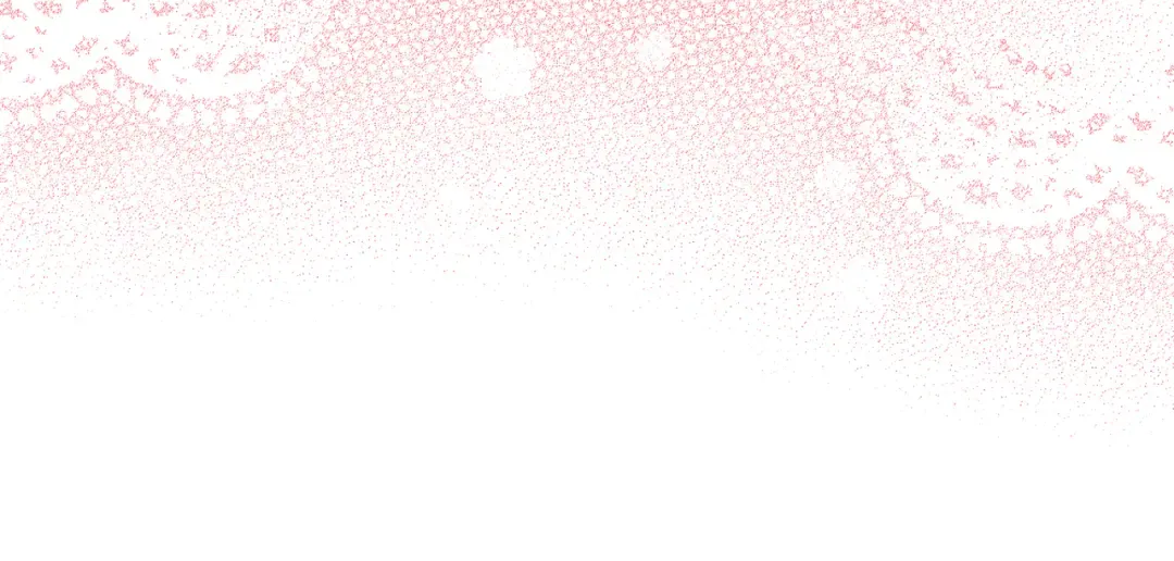 第447页