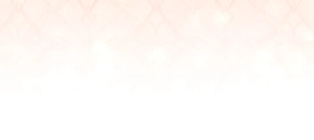 第255页
