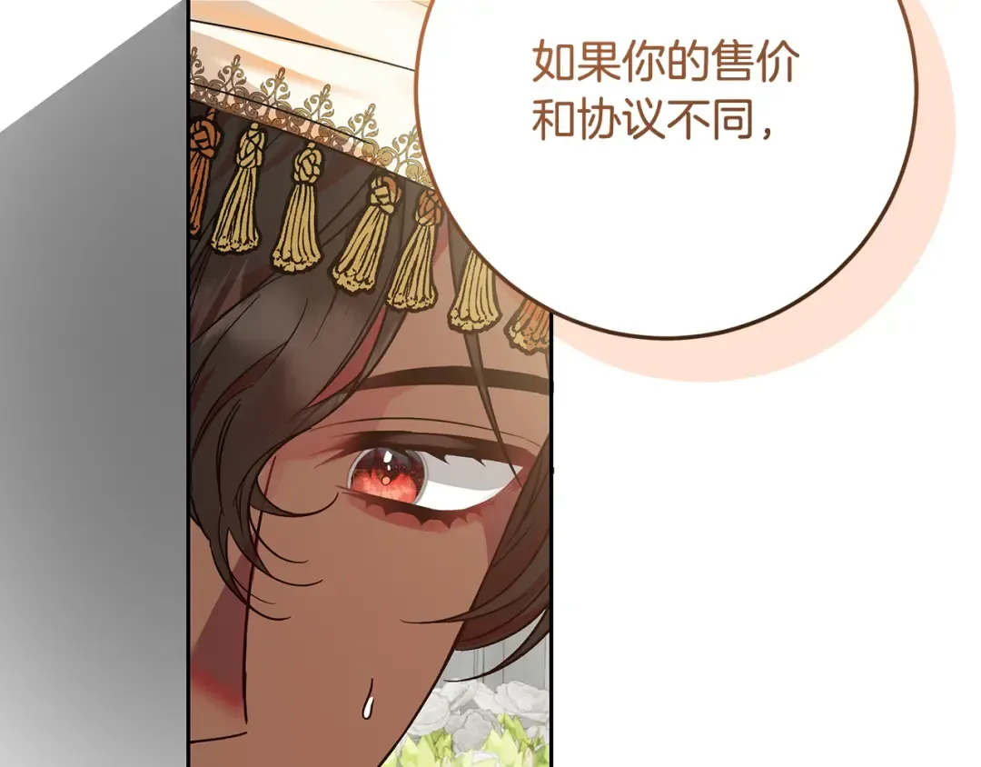 第246页