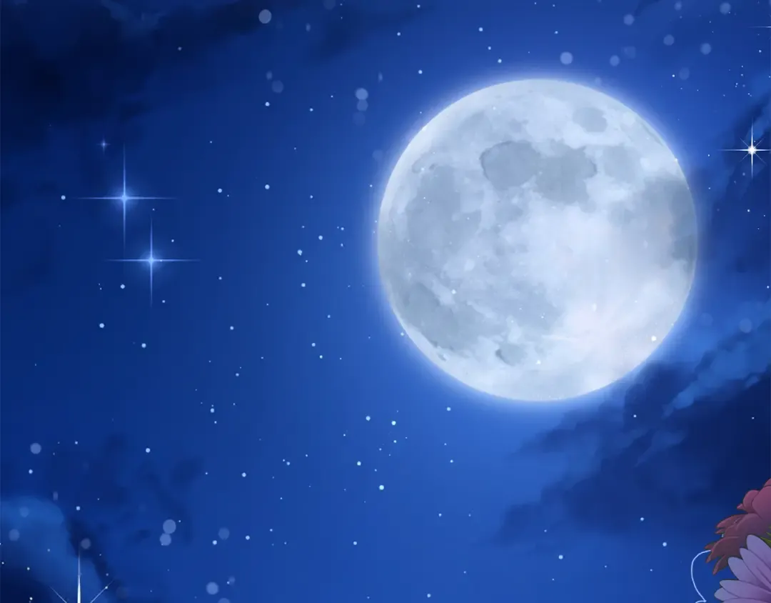 第231页