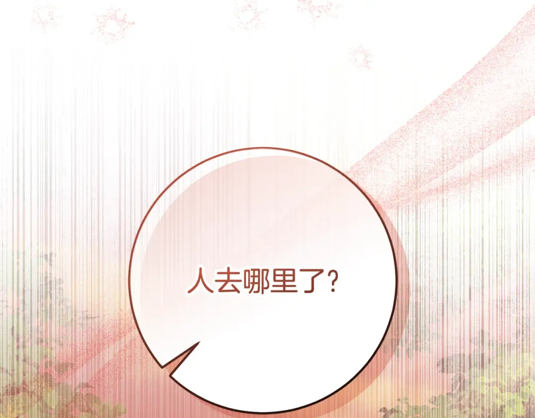第504页