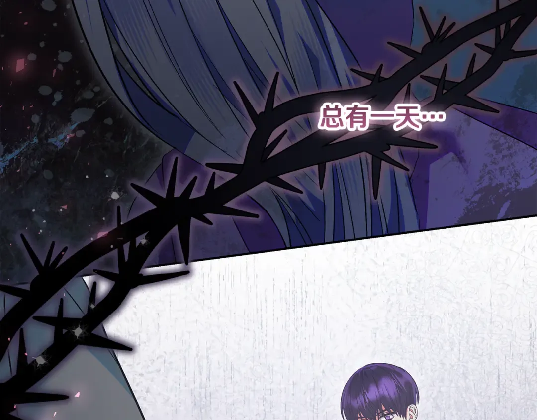 第567页