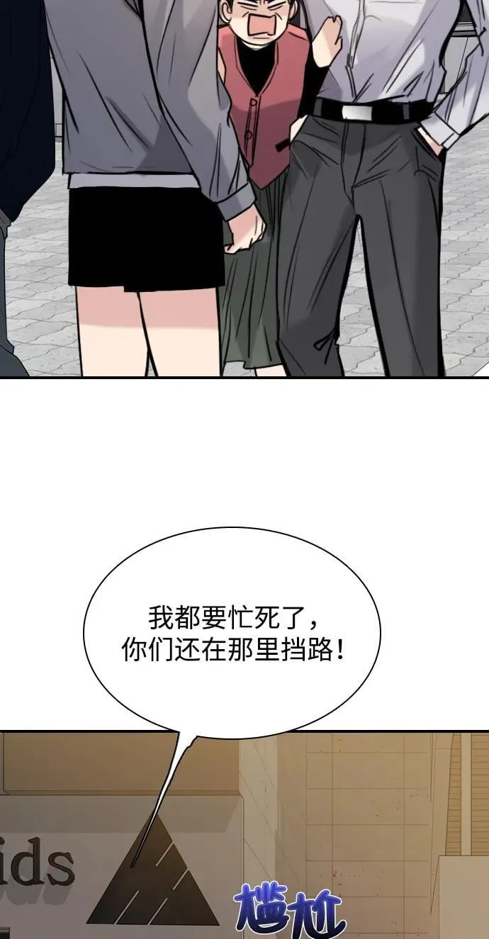 第204页