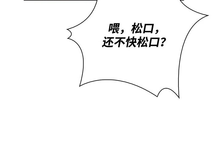 第294页