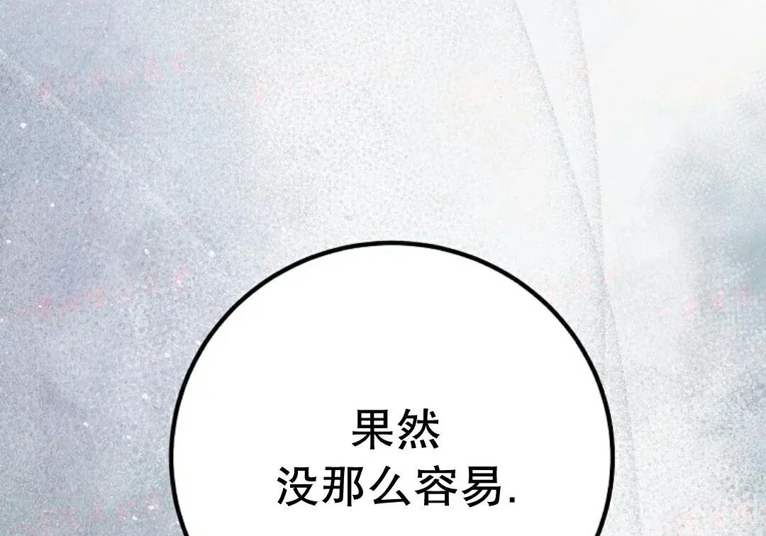 第519页