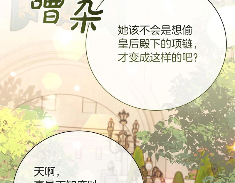 第567页
