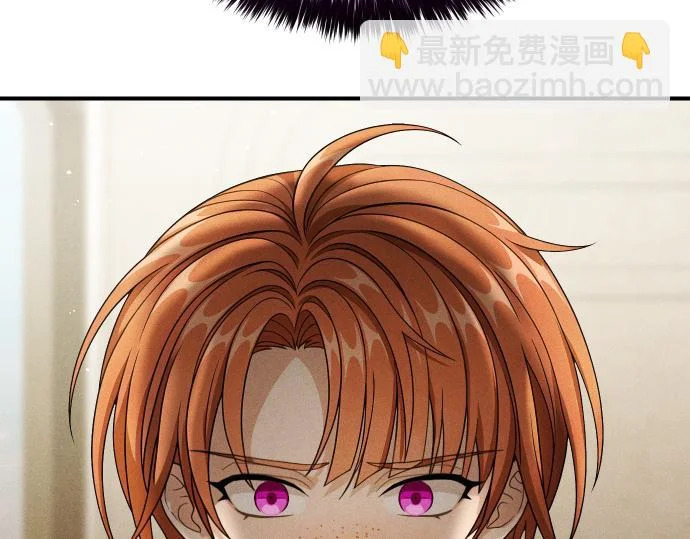 第567页