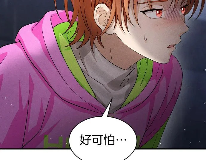 第567页