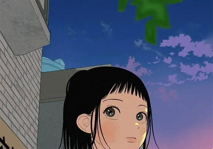 第954页