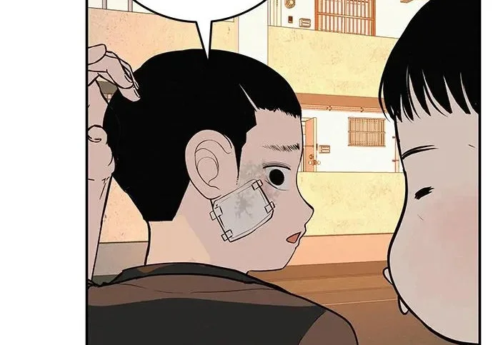 第176页