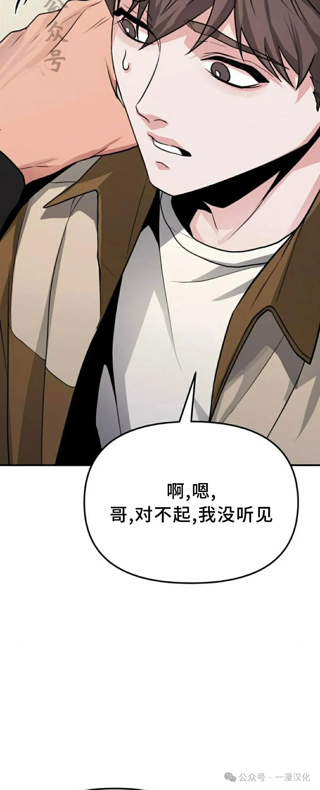 第339页
