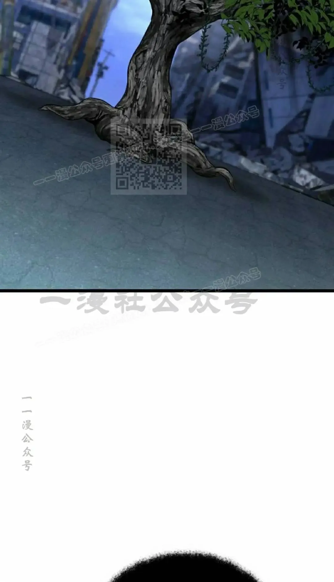 第255页