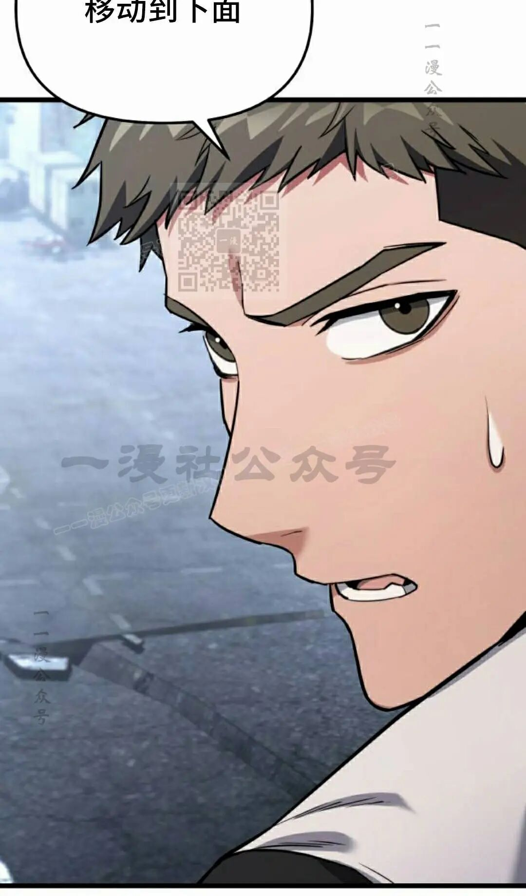 第225页