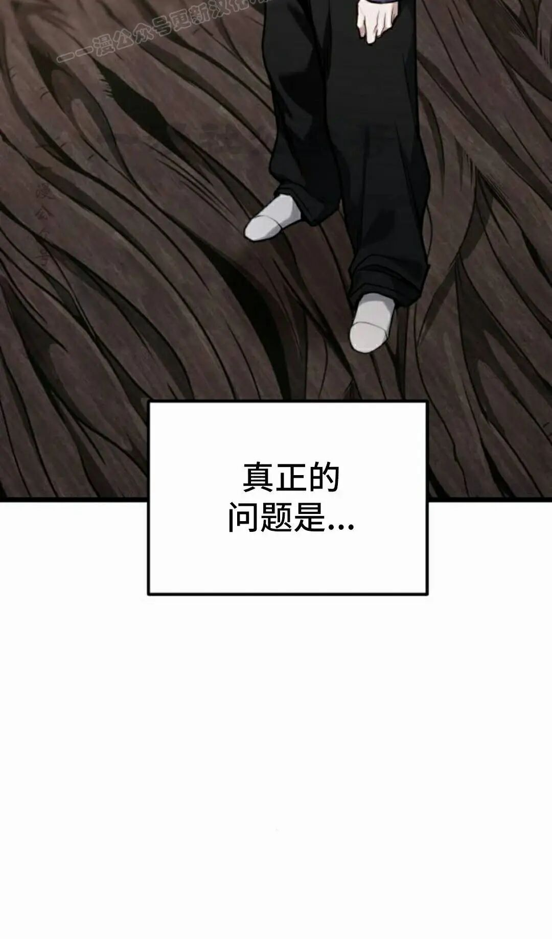第237页