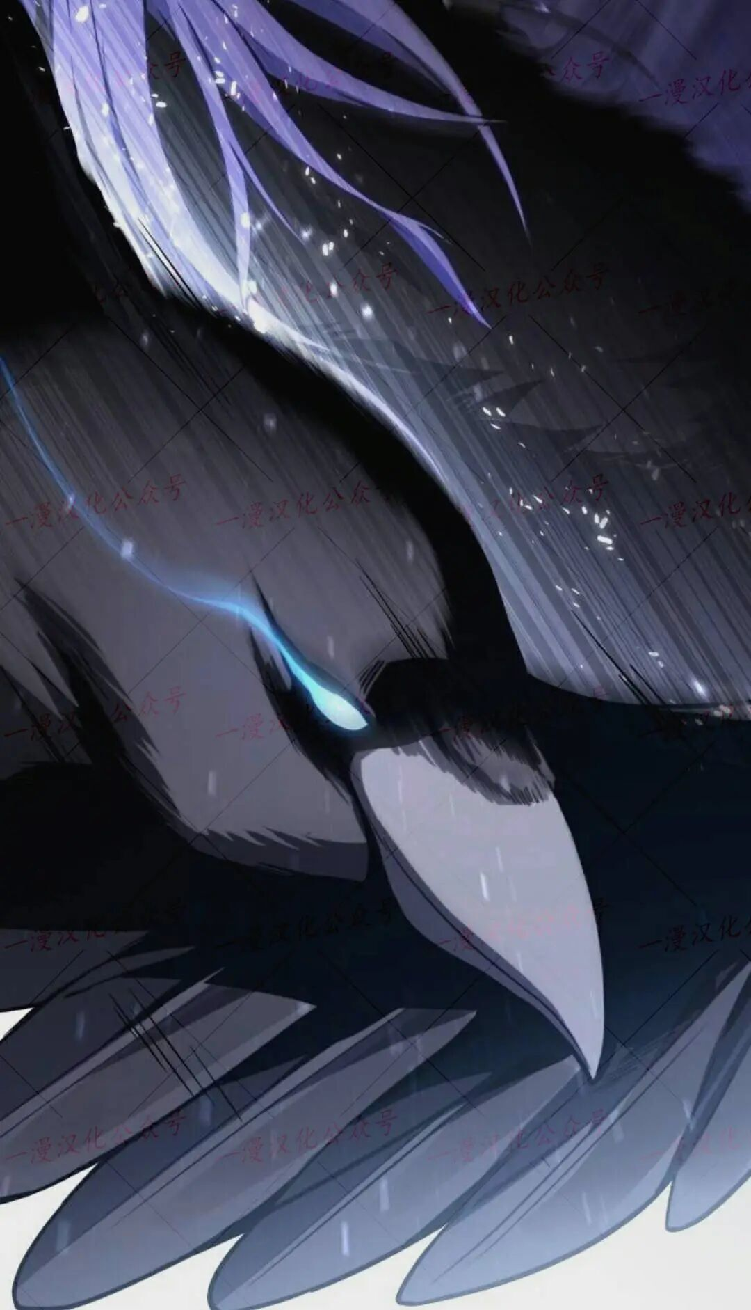 第255页