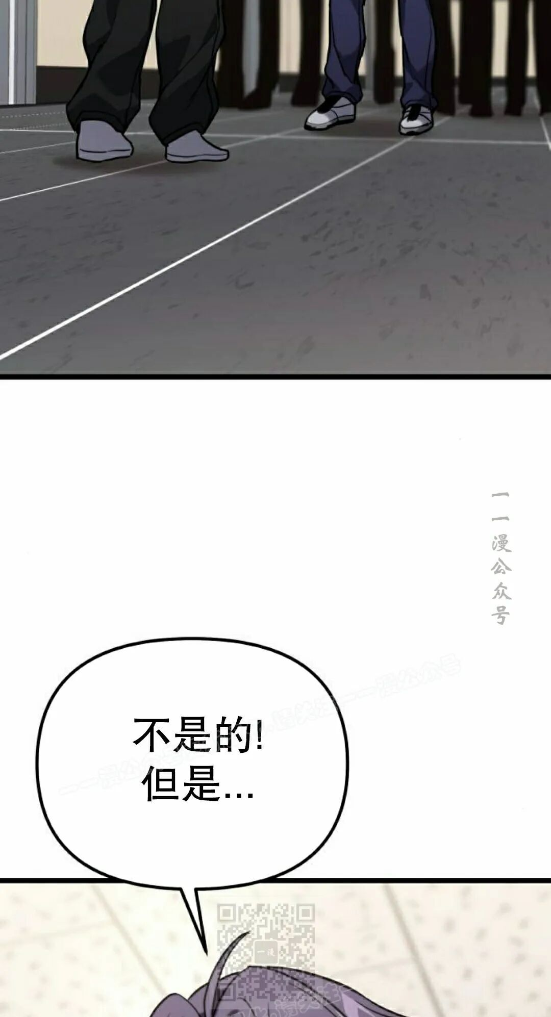 第204页