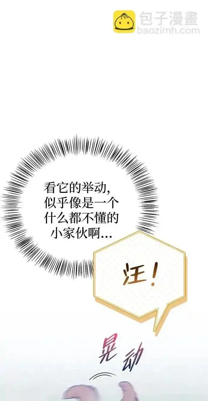 第294页