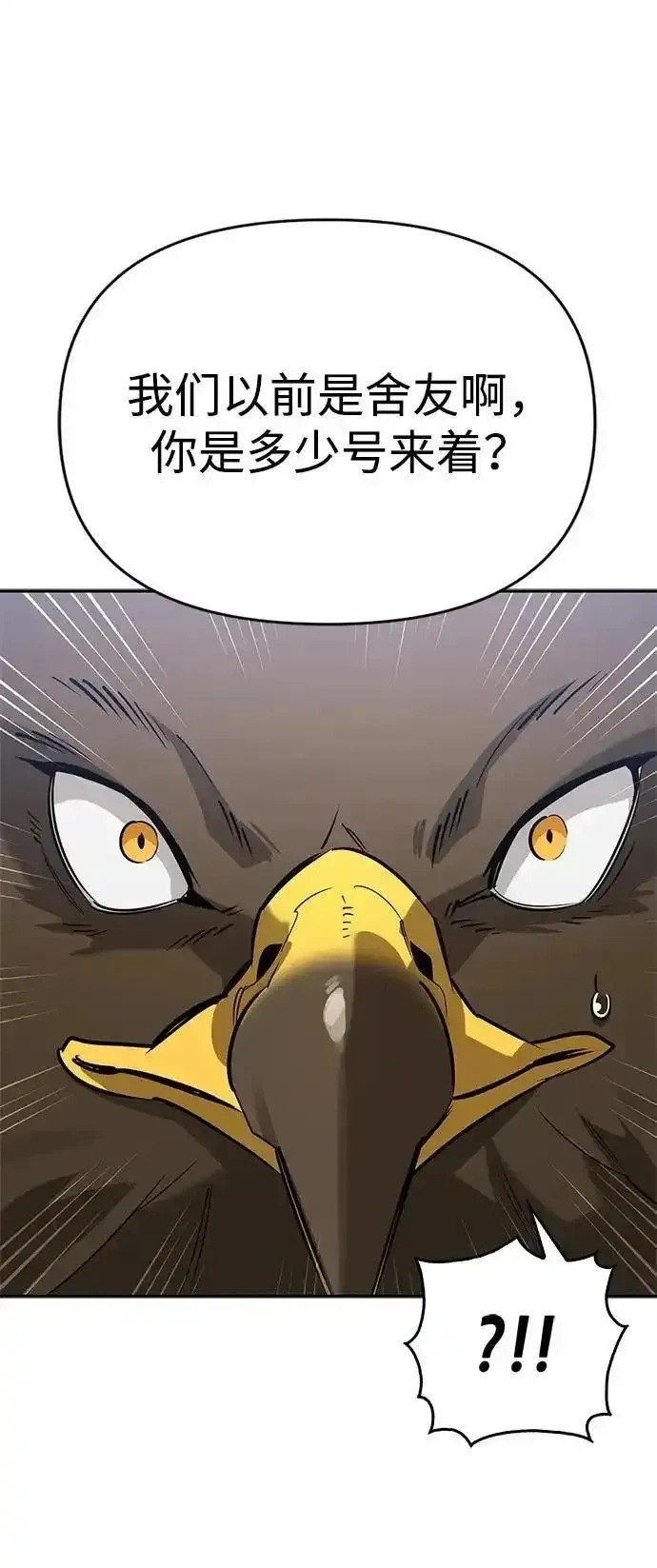第231页
