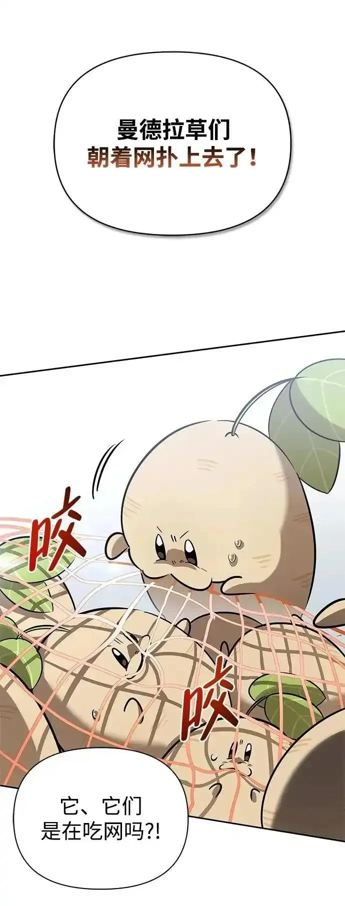 第231页