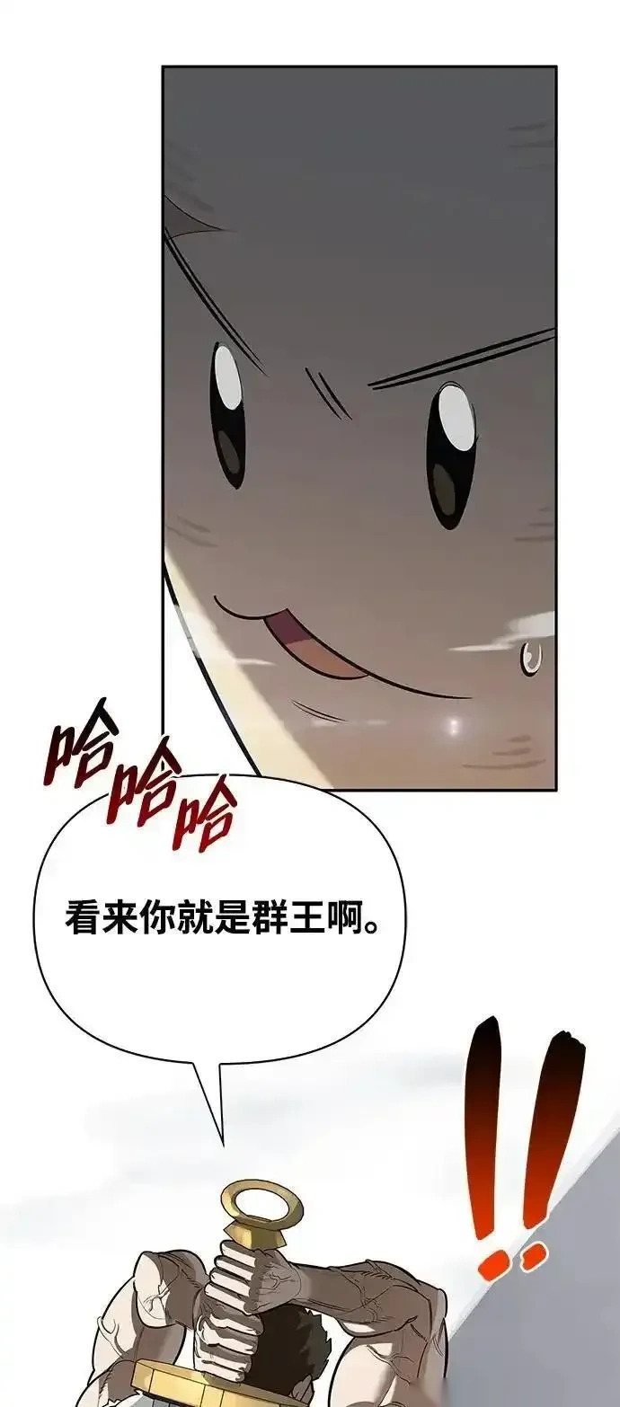 第255页