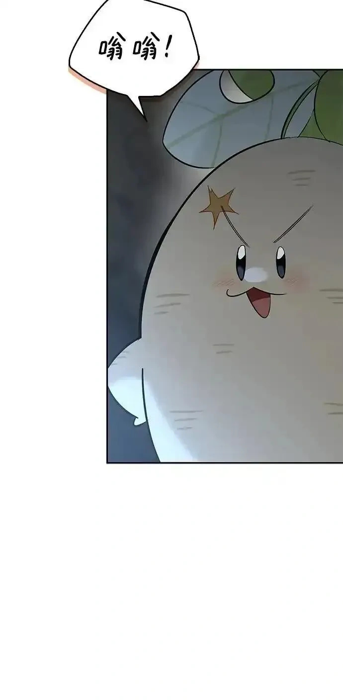 第243页