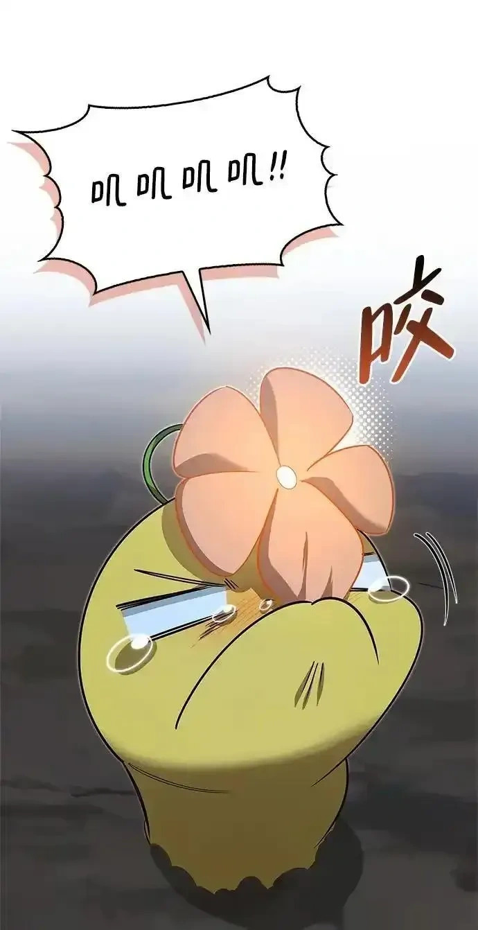 第204页