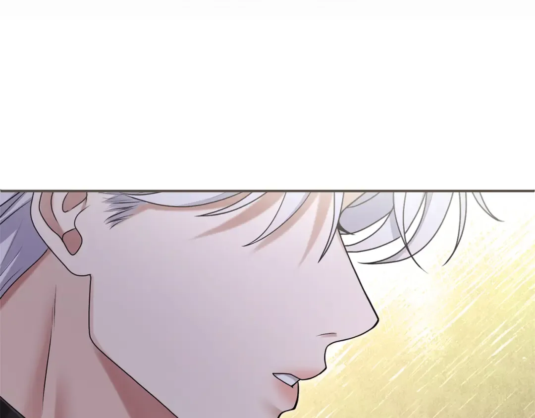 第441页