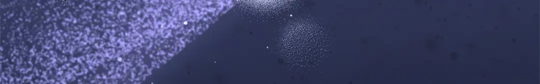 第495页
